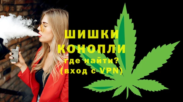 молекула духа Богородск