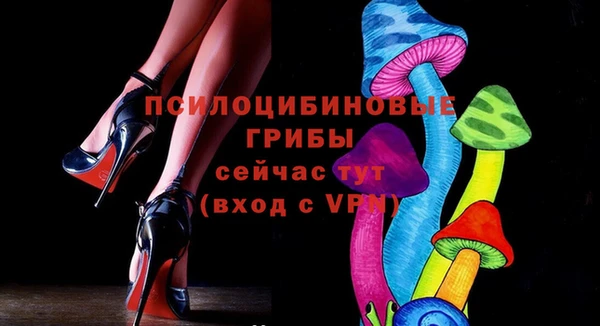 ешки Белокуриха
