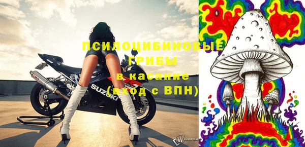 молекула духа Богородск