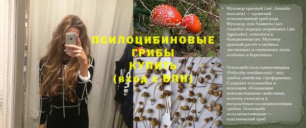 мескалин Богданович