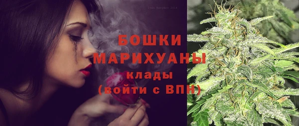 ешки Белокуриха