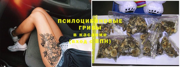 спайс Богородицк