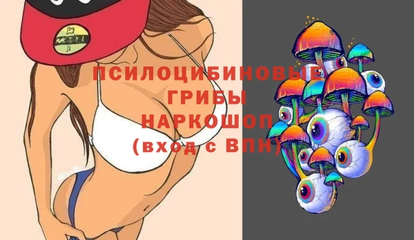 ешки Белокуриха