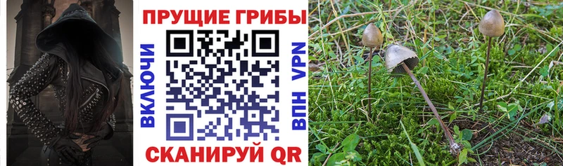 закладка  KRAKEN вход  Галлюциногенные грибы GOLDEN TEACHER  Фёдоровский 